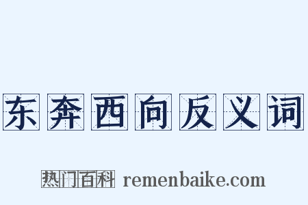 东奔西向反义词是什么意思的图片